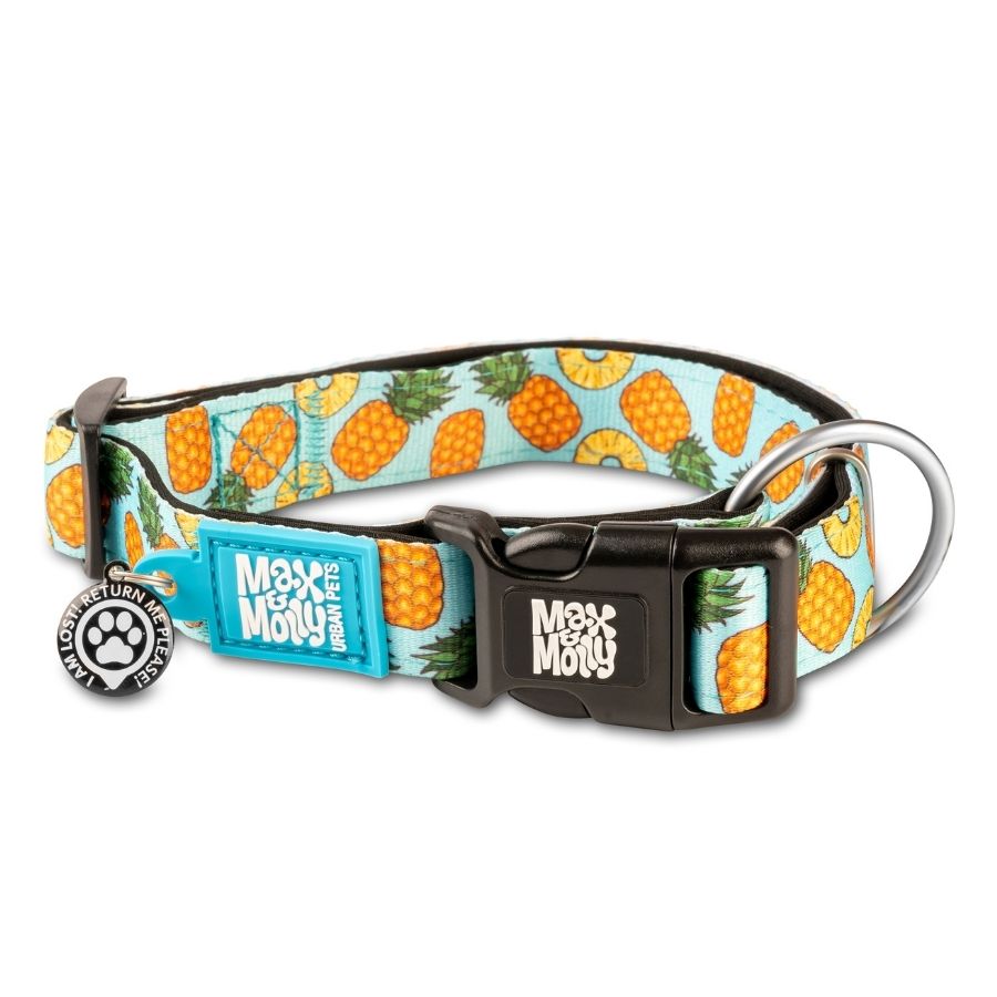 Collar Sweet Pineapple con Smart ID